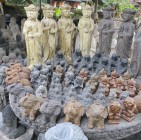 IMG_1662 IMG_1662